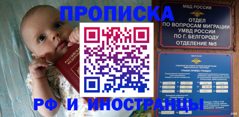 миграционный учет в Кургане